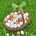 Eier