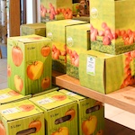 Produkte
